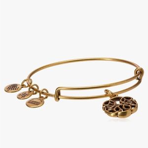 Alex and Ani Path of Life gold charm bracelet adjustable Bangle boho Rose Bronze